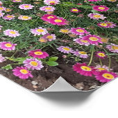 美しい赤ペラルゴニウム花園ポスター ポスター (角)