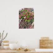 美しい赤ペラルゴニウム花園ポスター ポスター (キッチン)