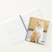 美しい赤猫 ノートブック (内部)