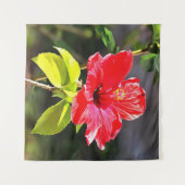 美しい赤芸術的色の熱帯ハイビスカスの花 タペストリー (正面(横))