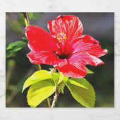 美しい赤芸術的色の熱帯ハイビスカスの花 ビールラベル (シングルラベル)