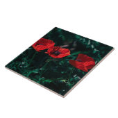 美しい赤3つのポピーの花 タイル (側面)