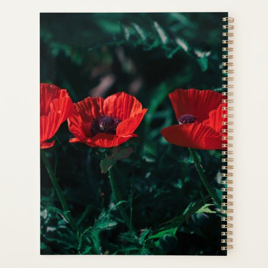 美しい赤3つのポピーの花 プランナー手帳 (裏面)