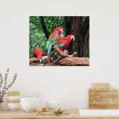 美しい赤、緑、青の3つのオウム ポスター (キッチン)