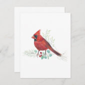 美しい赤（鳥）ショウジョウコウカンチョウ水色ノートカード (正面/裏面)