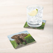 美しい遊象が草の中 スクエアペーパーコースター (インサイチュ)