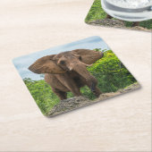 美しい遊象が草の中 スクエアペーパーコースター (アングル)