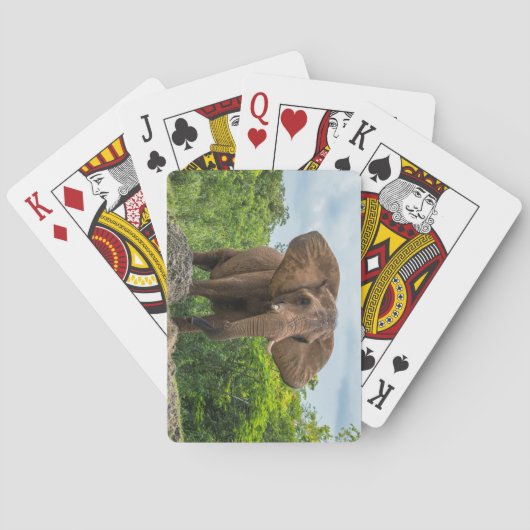 美しい遊象が草の中 トランプ (裏面)