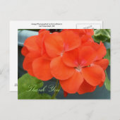 美しい郵便はがきありがとう ポストカード (正面/裏面)