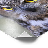 美しい野外野生生物の風景フォトプリント フォトプリント            (角)