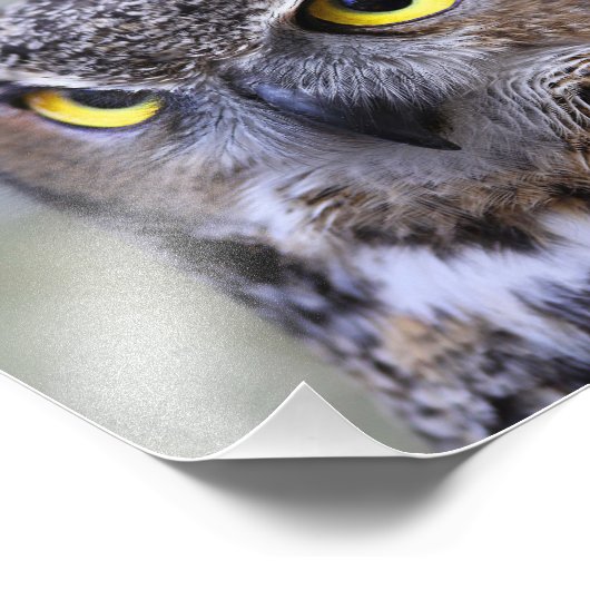 美しい野外野生生物の風景フォトプリント フォトプリント            (角)