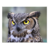 美しい野外野生生物の風景フォトプリント フォトプリント            (正面)