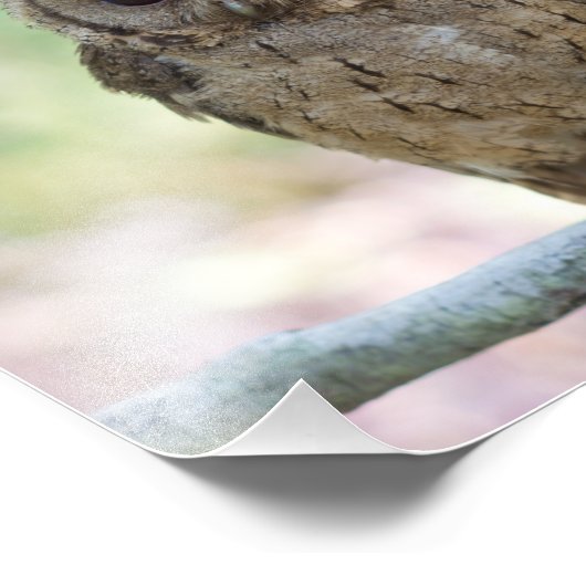 美しい野外野生生物の風景フォトプリント フォトプリント            (角)