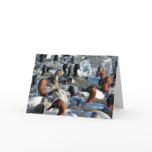 美しい野生のアヒル – キャンバスバックとかかし