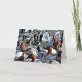 美しい野生のアヒル – キャンバスバックとかかし カード