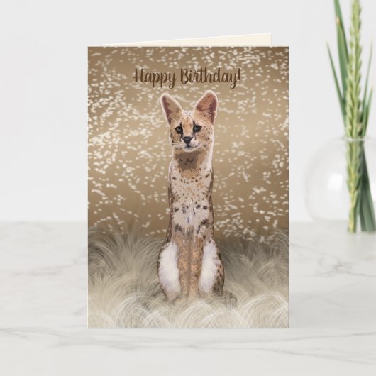 美しい野生のアフリカ産のセルヴァル猫 カード (正面)