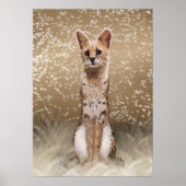 美しい野生のアフリカ産のセルヴァル猫 ポスター (正面)