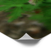 美しい野生のゲラニウム ポスター (角)