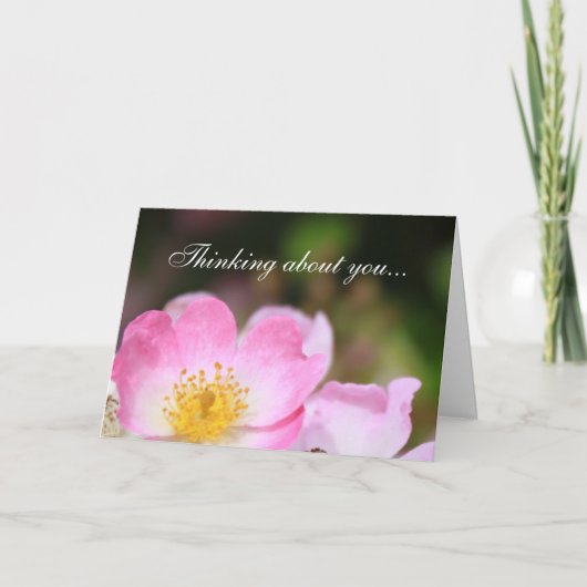 美しい野生のピンクのバラの花よ考えるよについて シーズンカード (正面)