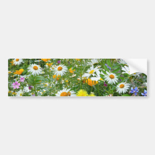美しい野生の花および蝶草原 バンパーステッカー