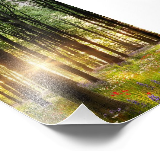 美しい野生の花の森の道と夜明けの日の出 フォトプリント            (角)