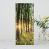 美しい野生の花の森の道と夜明けの日の出 招待状 (スタンド正面)