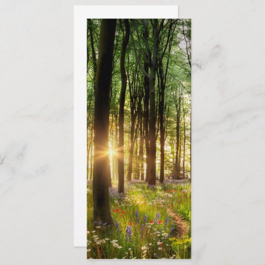 美しい野生の花の森の道と夜明けの日の出 招待状 (正面/裏面)