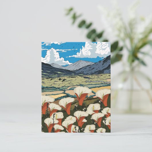 美しい野生の花の草原の風景 ポストカード (スタンド正面)