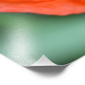 美しい野生の赤いケシ フォトプリント            (角)