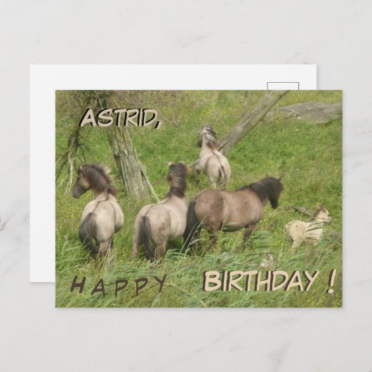 美しい野生の馬 カスタム誕生日ポストカード ポストカード (正面/裏面)