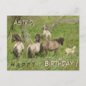 美しい野生の馬 カスタム誕生日ポストカード ポストカード (正面)