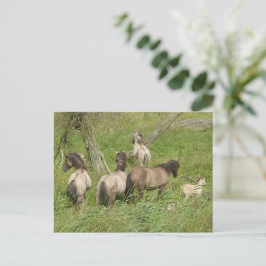 美しい野生の馬DIYはがき ポストカード (スタンド正面)