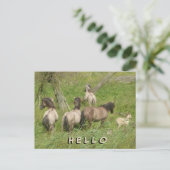 美しい野生の馬HELLOポストカード ポストカード (スタンド正面)