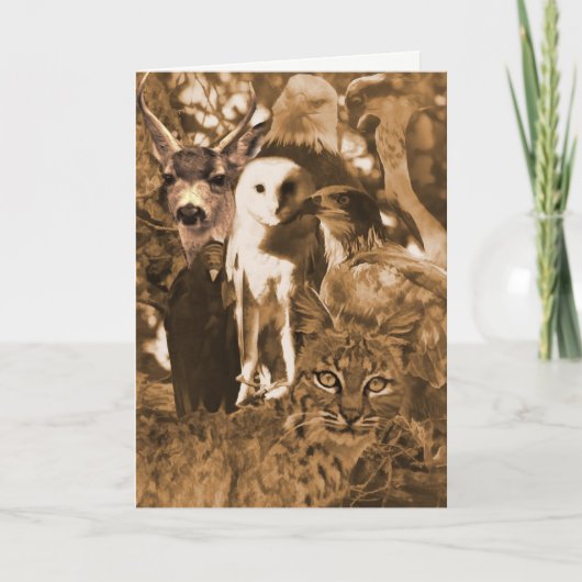 美しい野生動物空白の カード (正面)