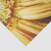 美しい金ゴールドひまわり黒地 薄葉紙 (詳細)