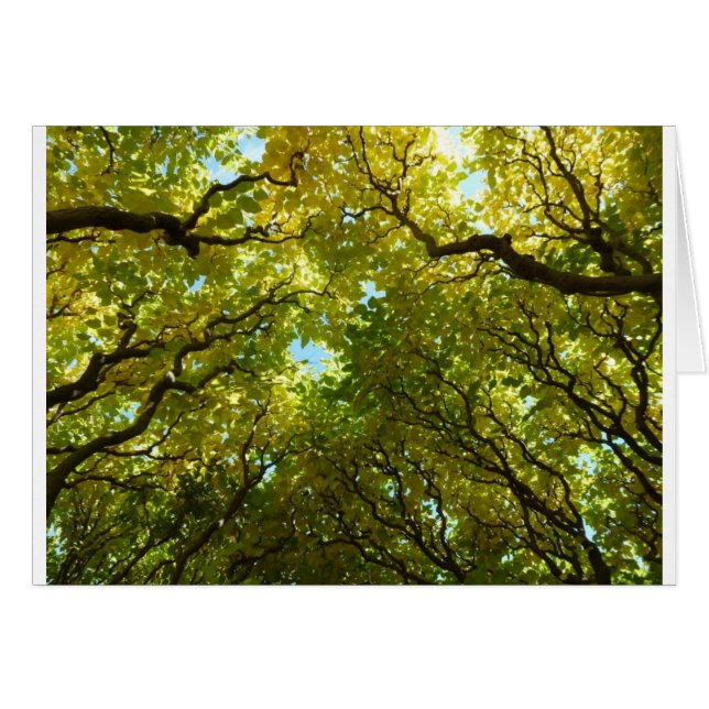 美しい金木カード (正面横)