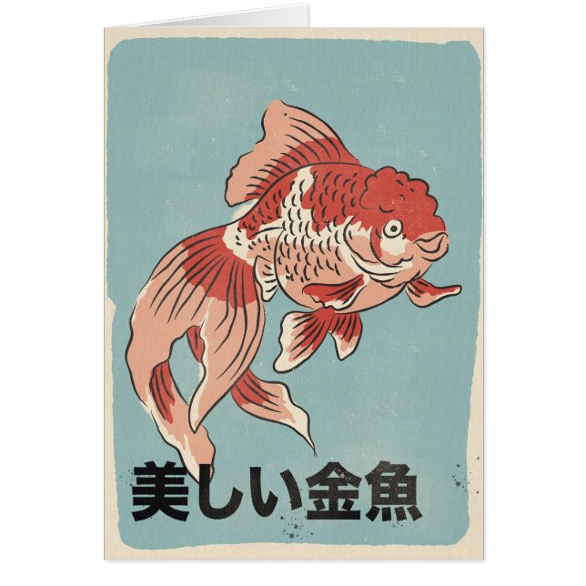 美しい金魚 (正面)