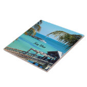 美しい鍵西，フロリダ タイル (側面)