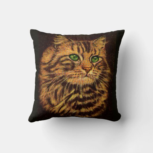 美しい長毛のタビー猫プリント クッション (裏面)