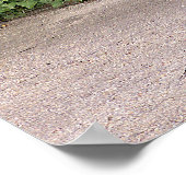 美しい雄孔雀 ポスター (角)