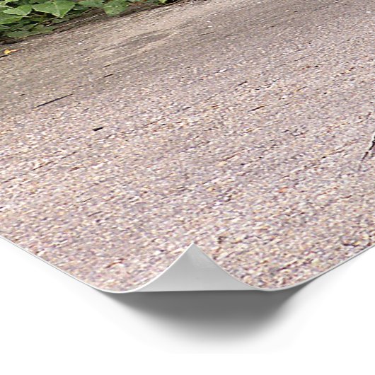 美しい雄孔雀 ポスター (角)