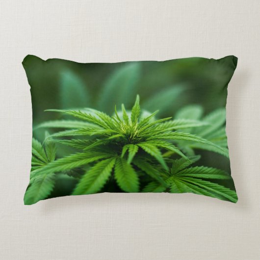 美しい雑草 アクセントクッション (正面)