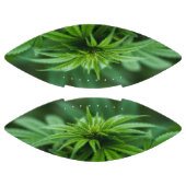 美しい雑草 アメリカンフットボール (パネル)