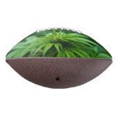 美しい雑草 アメリカンフットボール (回転270)