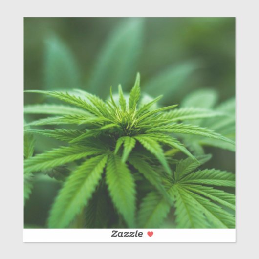 美しい雑草 シール (シート)