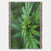 美しい雑草 スローブランケット (正面縦)
