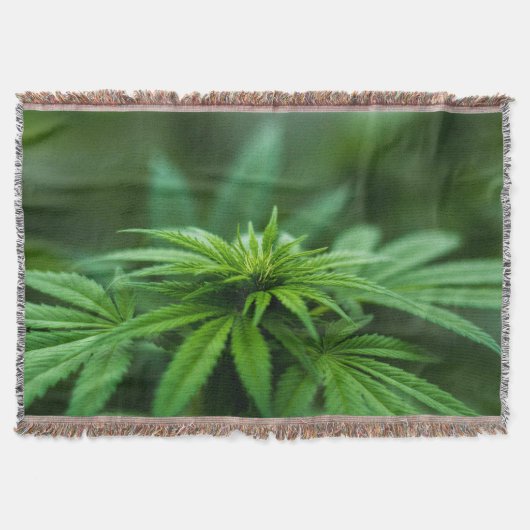 美しい雑草 スローブランケット (正面)