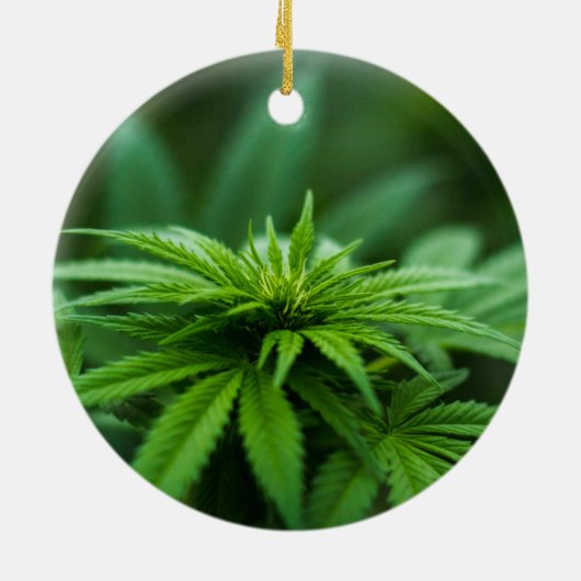 美しい雑草 セラミックオーナメント (裏面)