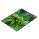 美しい雑草 ノートブック (左側)