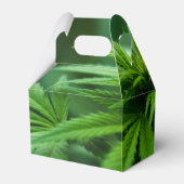 美しい雑草 フェイバーボックス (裏面サイド)